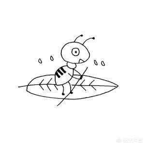 我们的思想会不会就是暗物质呢？376 / 作者:fvhPHALo / 帖子ID:43474