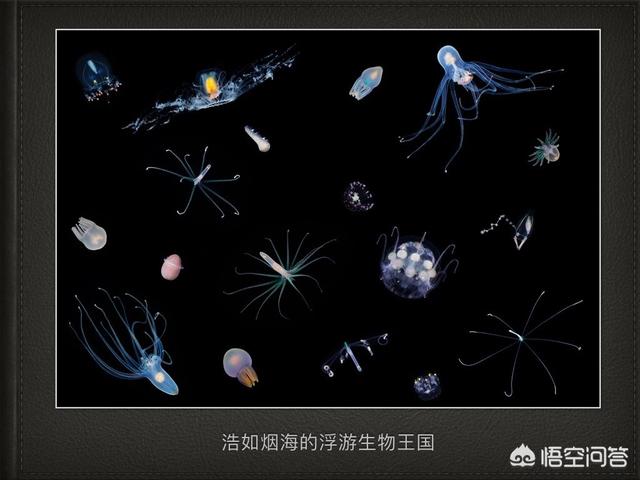 有人说人类永远也不可能认识到宇宙的全部，你怎么看？370 / 作者:wangtao123 / 帖子ID:43483