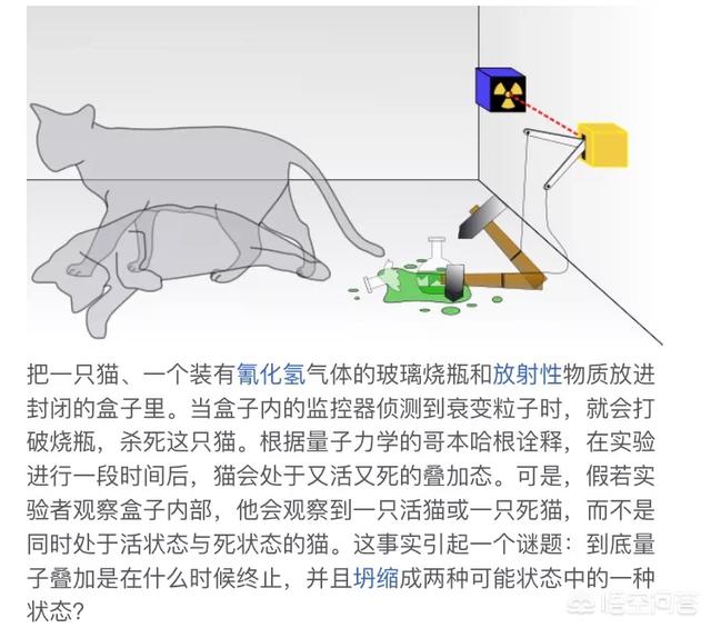 为什么有“两个宇宙”的说法？那么“多重宇宙”的说法是否成立？385 / 作者:wuqunce / 帖子ID:43506