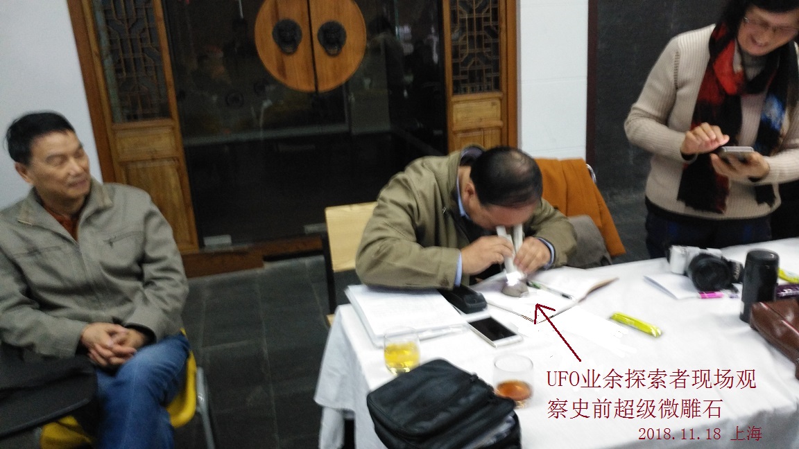 我的主题演讲：意外发现疑似史前文明遗迹（超级微雕石）604 / 作者:史前文明微雕石 / 帖子ID:43428