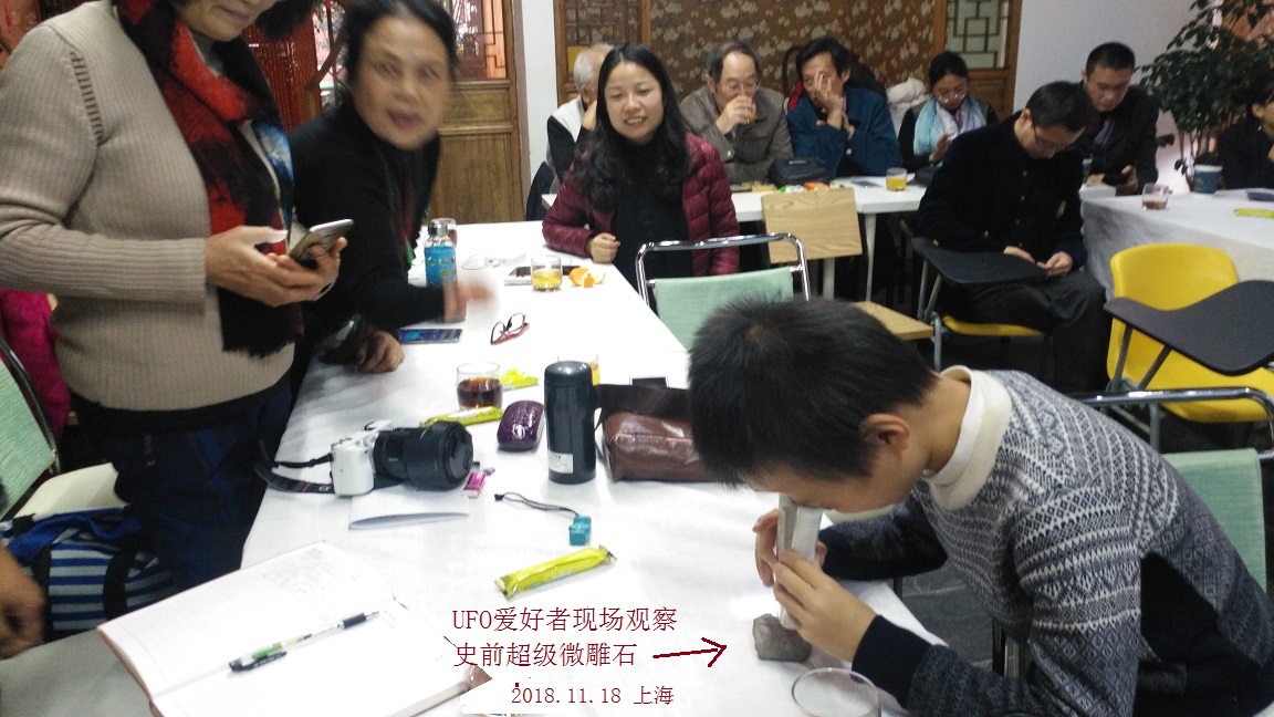 我的主题演讲：意外发现疑似史前文明遗迹（超级微雕石）302 / 作者:史前文明微雕石 / 帖子ID:43428