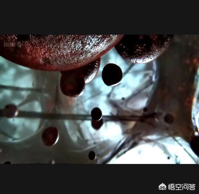 宇宙有没有可能是一个巨大的生命体，它膨胀是因为它在长大？421 / 作者:renew / 帖子ID:43578