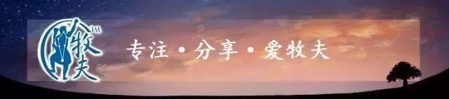 寻找外星人的方法只有氧气吗？72 / 作者:hoei / 帖子ID:43666