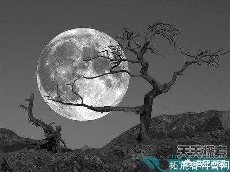 人类能找到外星人吗？699 / 作者:kuaizio / 帖子ID:43779