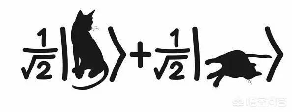 量子力学认为“死猫是一个宇宙，活猫是一个与之平行的宇宙”，平行世界在客观上存在吗？111 / 作者:KrpUpncK / 帖子ID:43898