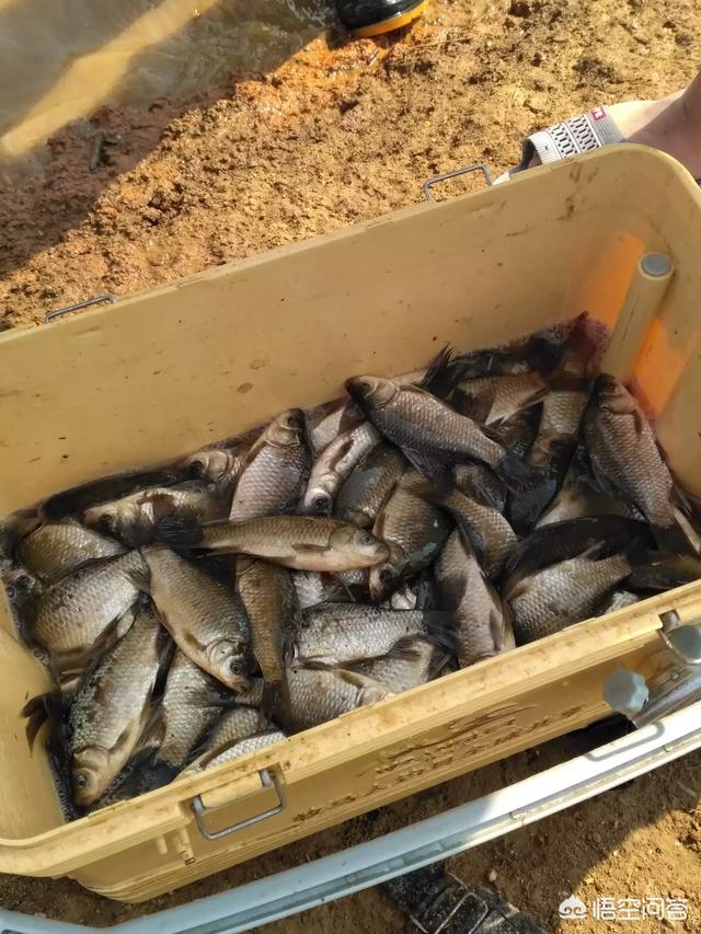 引力与质量有关，那光子会被黑洞吸引吗？为什么？647 / 作者:wuqunce / 帖子ID:43917