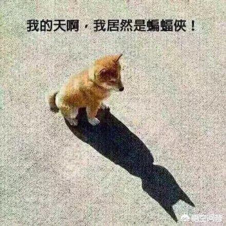 黑洞有能力吃掉恒星，这些被吃掉的物质去了哪里？440 / 作者:wanggechou / 帖子ID:43918