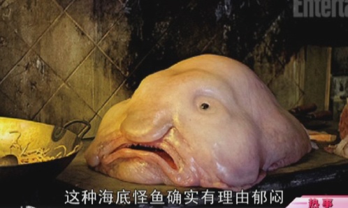 地球上有哪些生物是以违背生命规律的方式存在的？937 / 作者:1254873 / 帖子ID:43949