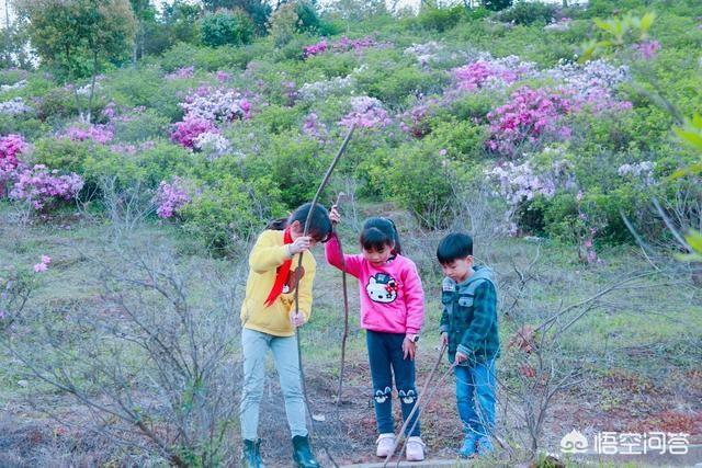 宇宙138亿年的年龄是怎么算出来的？559 / 作者:fanfan_880331 / 帖子ID:43954