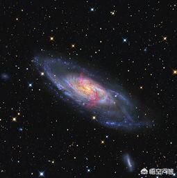 你觉得有没有外星人？539 / 作者:YKJNzVqH / 帖子ID:43959
