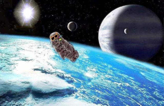地外生命什么样？有星球那么大的生物吗？生命形态或多到难以想象15 / 作者:redfree / 帖子ID:44002
