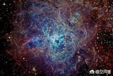 人类有没有见过外星人？未来有可能见到吗？434 / 作者:`ivY) / 帖子ID:44093