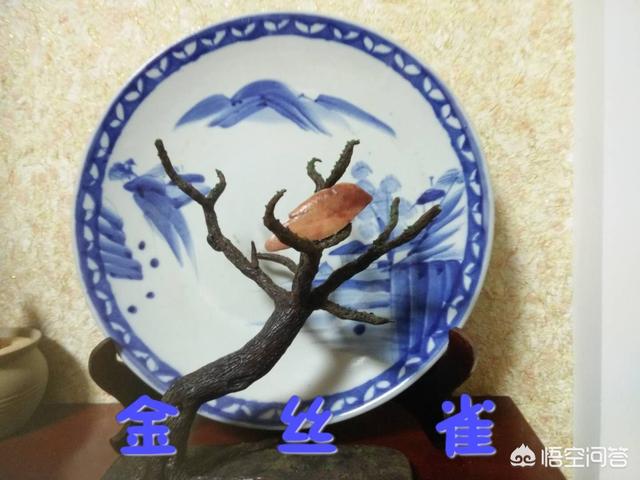 为什么宇宙中的星球都是近似球体？277 / 作者:47971655 / 帖子ID:44305