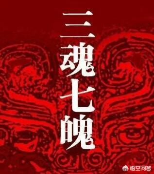 有的中医称中医的气就是暗物质，《黄帝内经》早就发现了暗物质，你怎么看？132 / 作者:pvrdxwsqhl / 帖子ID:44331