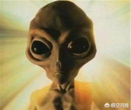 为什么近年来没有UFO的消息了，外星人放弃地球了？650 / 作者:yujuan / 帖子ID:44369