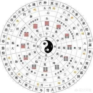 飞碟的形状是什么样子？523 / 作者:wangtao123 / 帖子ID:44418