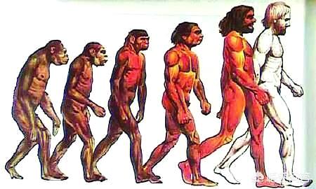 有哪些让人反感的科学，如进化论，外星人，暗能量，大爆炸，为什么？758 / 作者:圆月小侠 / 帖子ID:44463