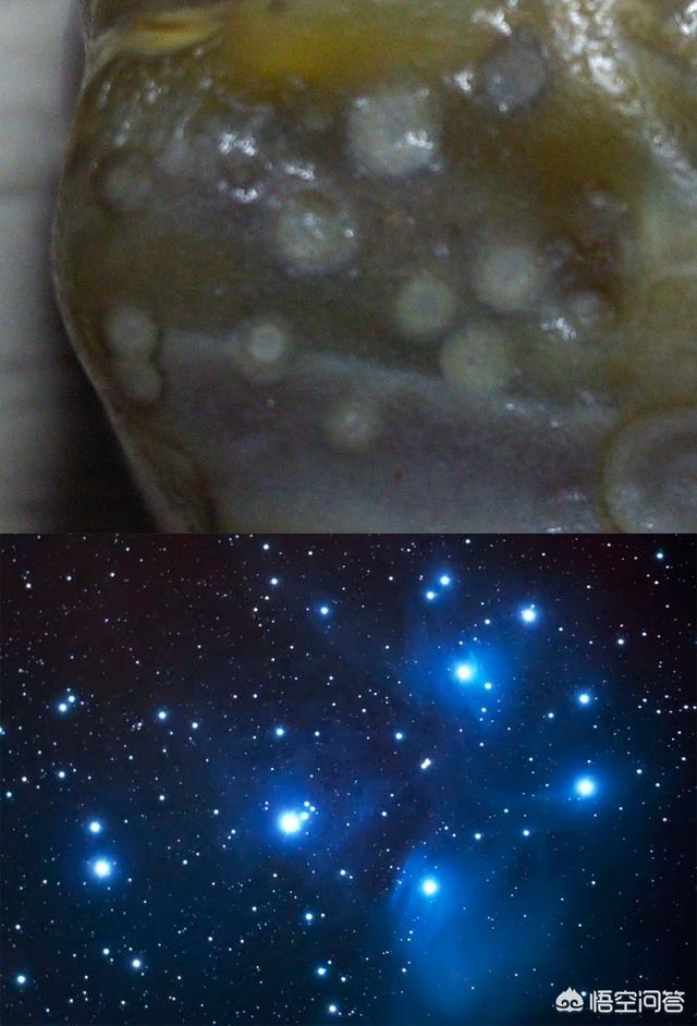 真的有外星人存在吗？你怎么看？678 / 作者:kuaizio / 帖子ID:44503