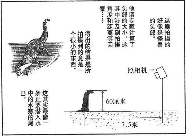 为什么UFO大脚怪的目击照片都是模糊的242 / 作者:cdixeji / 帖子ID:44760