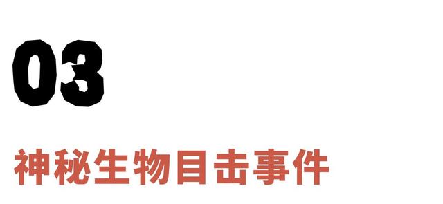 为什么UFO大脚怪的目击照片都是模糊的646 / 作者:cdixeji / 帖子ID:44760