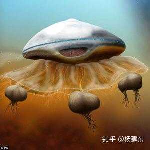 如果发现了外星人，外星“人”能不能吃？516 / 作者:cddgcwqfxp / 帖子ID:44786