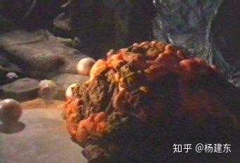 如果发现了外星人，外星“人”能不能吃？345 / 作者:cddgcwqfxp / 帖子ID:44786