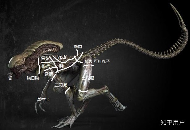 如果发现了外星人，外星“人”能不能吃？652 / 作者:hrwjngrxap / 帖子ID:44786