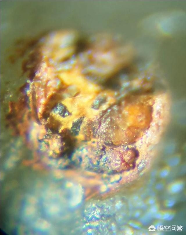 所谓的外星人有没有可能只是生活在地球内部的同类？671 / 作者:rynet / 帖子ID:45021