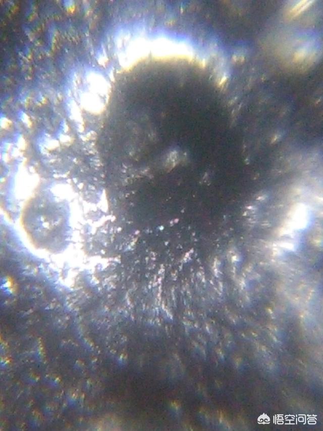 所谓的外星人有没有可能只是生活在地球内部的同类？282 / 作者:rynet / 帖子ID:45021