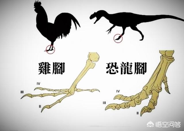 恐龙的灭绝和地球上出现的UFO有关系吗？369 / 作者:风骨傲气 / 帖子ID:45050