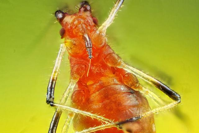 人类是微生物1亿倍，是否意味着宇宙存在比人类大1亿倍的生物？630 / 作者:静静的读你 / 帖子ID:45160