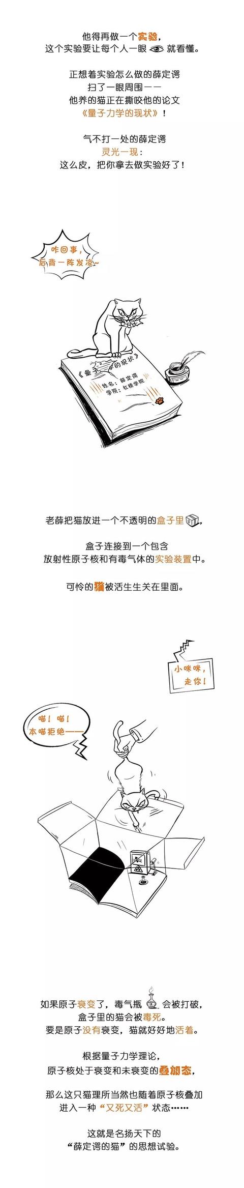 一幅图读懂量子力学（薛定谔的猫）59 / 作者:ananokok / 帖子ID:45163