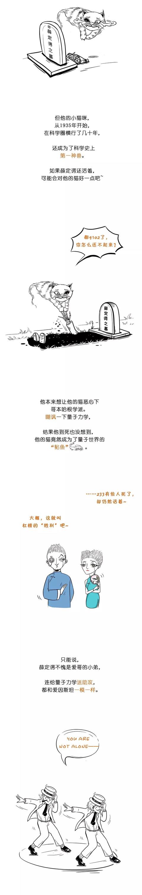 一幅图读懂量子力学（薛定谔的猫）319 / 作者:ananokok / 帖子ID:45163