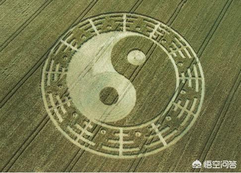 麦田怪圈如果不是人为，是不是意味着外星人想告诉我们万物最初粒子运动的规则？445 / 作者:pvrdxwsqhl / 帖子ID:45220