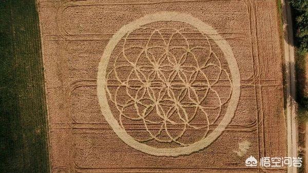 麦田怪圈如果不是人为，是不是意味着外星人想告诉我们万物最初粒子运动的规则？657 / 作者:falaso / 帖子ID:45220