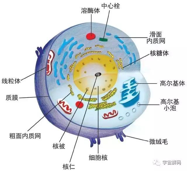 平行世界中的“9层宇宙”到底是什么？834 / 作者:keajoo / 帖子ID:45249