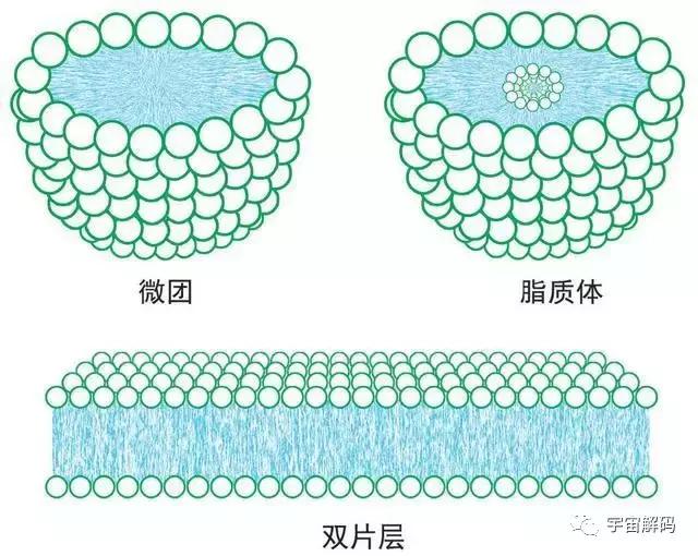 平行世界中的“9层宇宙”到底是什么？792 / 作者:keajoo / 帖子ID:45249