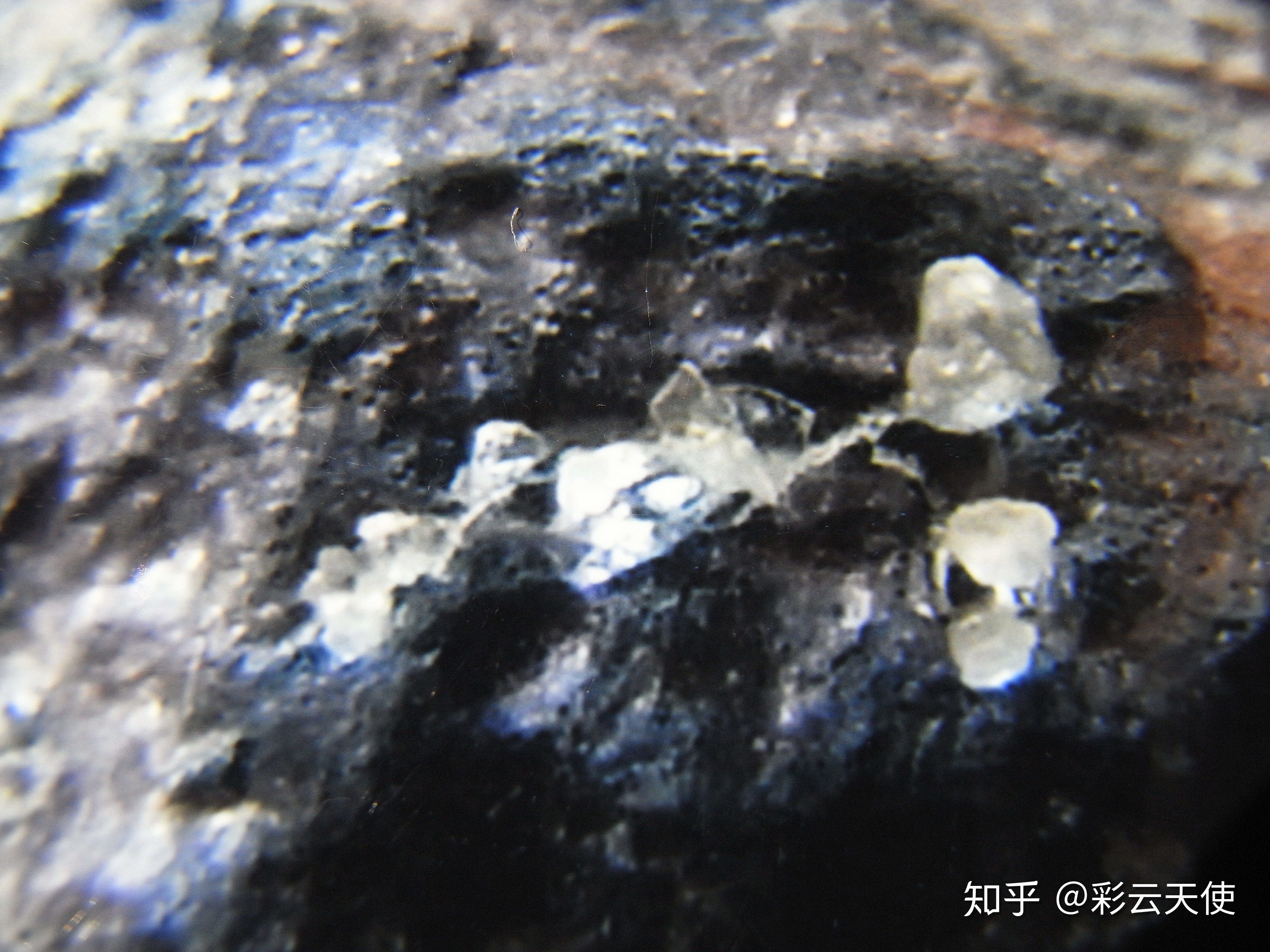 量子力学适用于 DNA 尺度的分子吗？885 / 作者:ZmAXxoJF / 帖子ID:45475
