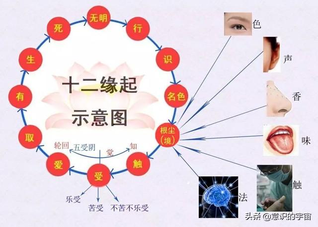 挠场与量子力学、佛学、道学的关系，揭开更多宇宙、生命奥秘828 / 作者:BIGBON / 帖子ID:45642