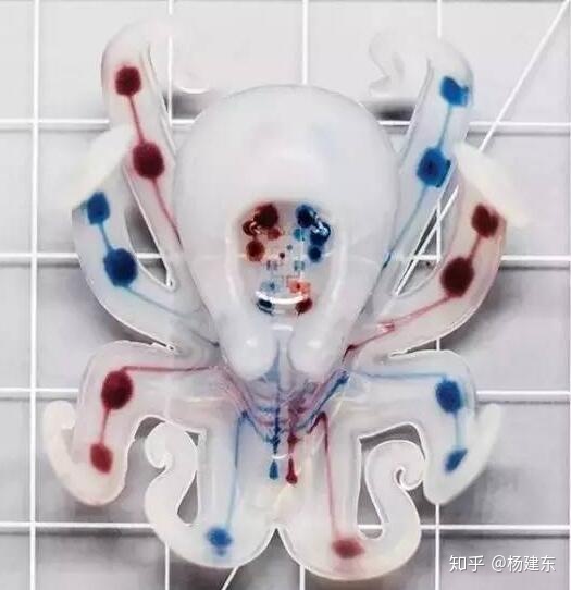 为什么有人说人类有可能是宇宙中的第一个文明？976 / 作者:xxxxxxxxxxxxxxx / 帖子ID:45692