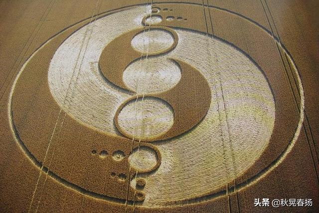 为什么麦田怪圈如此着迷？两个男人已经坦白了，但世界却无动于衷240 / 作者:常务管理员 / 帖子ID:45725