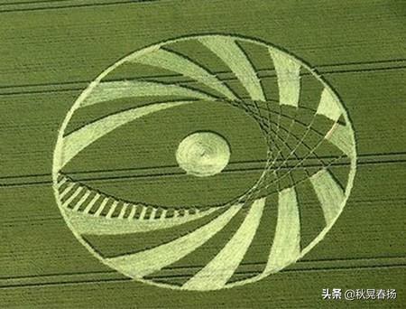 为什么麦田怪圈如此着迷？两个男人已经坦白了，但世界却无动于衷718 / 作者:常务管理员 / 帖子ID:45725
