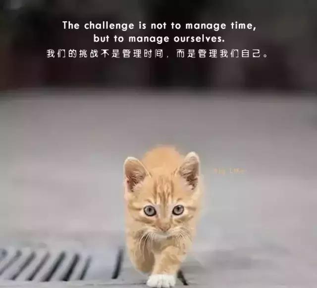 穿越、时空旅行，给现在的我们怎样的启示？363 / 作者:694207667 / 帖子ID:45800