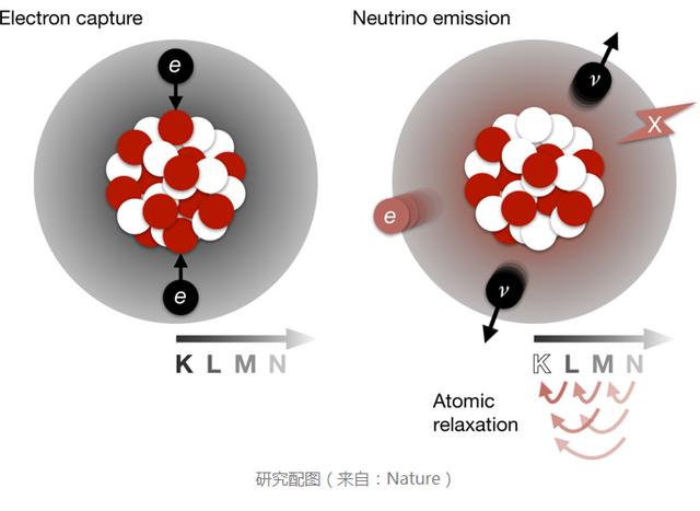 暗物质探测器观察到氙同位素衰变过程：半衰期1.8×10^21年348 / 作者:levin2008 / 帖子ID:45855