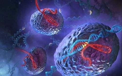 生命起源于地球还是来自太空？其实它是宇宙的创造，而且它很励志358 / 作者:lkamxmk / 帖子ID:45869