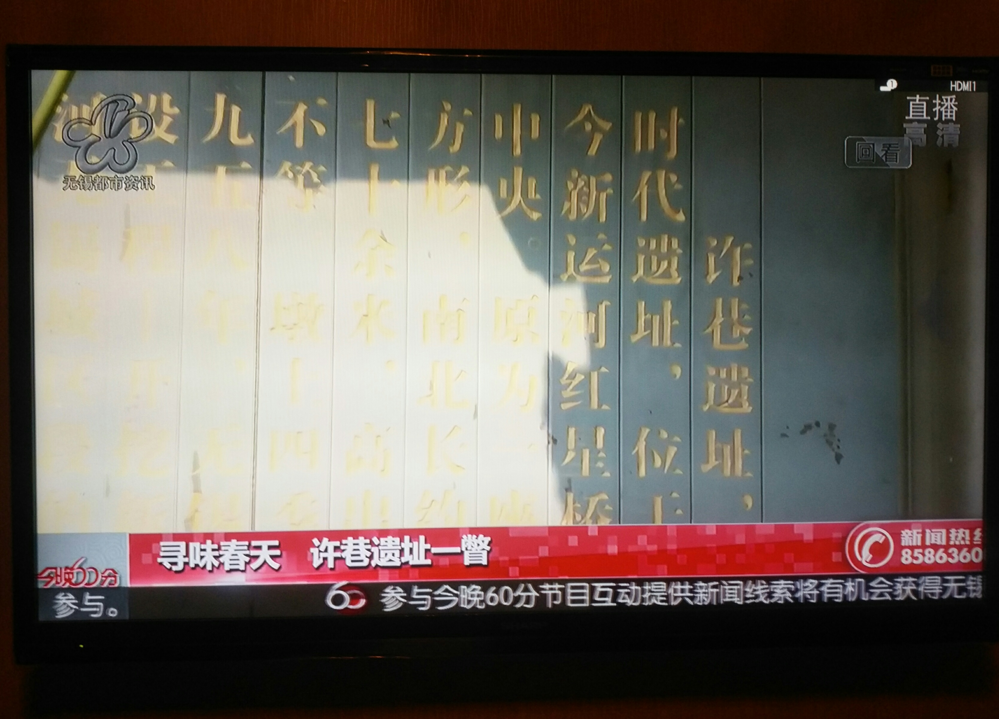我的主题演讲：意外发现疑似史前文明遗迹（超级微雕石）826 / 作者:史前文明微雕石 / 帖子ID:43428