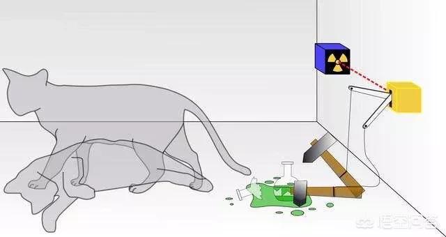 “薛定谔的猫”与量子力学的关系是什么？你怎么看？496 / 作者:fanfan_880331 / 帖子ID:45958