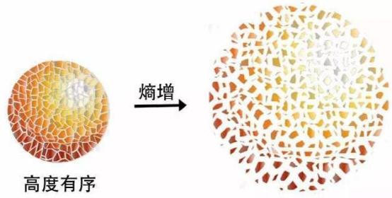 熵寂真的是宇宙的必然结局吗？499 / 作者:常务管理员 / 帖子ID:46019
