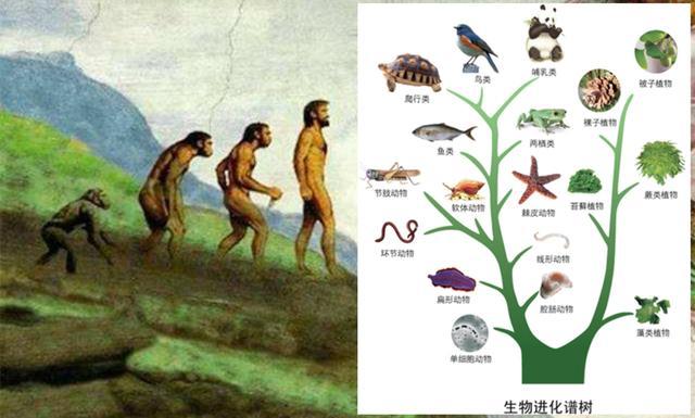 人类本来就是外星人来到地球吗？500 / 作者:gooobooo / 帖子ID:46020