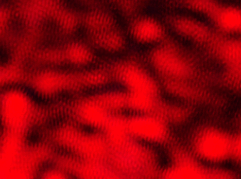 如何理解量子力学？925 / 作者:pili3761 / 帖子ID:46057